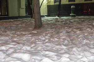 Trees Branches Covered in Snow Background photo