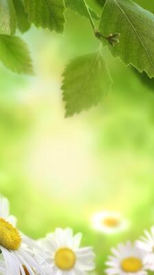 Nature Vertical Background Stock Photos, Images and Backgrounds for