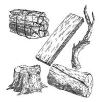 wood log set sketch hand drawn vector