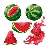 watermelon slice set cartoon vector illustration