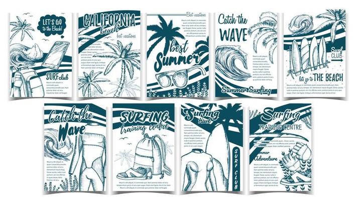 Wetsuits, Ocean Wave And Seaweed Set Banner Vector