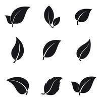 Set of isolated icons on a theme leaves vector