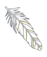 feather sketch drawn vector