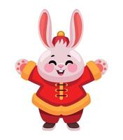 happy chinese rabbit vector