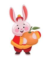 chinese rabbit with orange vector