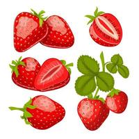 conjunto de frutas de fresa ilustración vectorial de dibujos animados vector