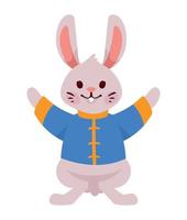 asian rabbit with blue suit vector