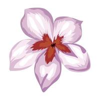 lilac exotic flower garden vector