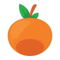 orange citrus fruit vector