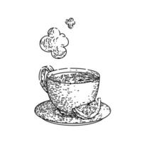 té de limón boceto dibujado a mano vector