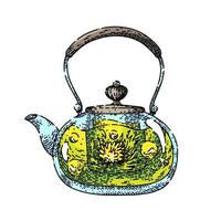 teapot glass sketch hand drawn vector