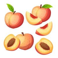 vector de dibujos animados de conjunto de frutas de durazno