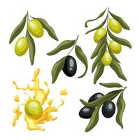 olive oil branch green set cartoon vector illustration