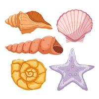 shell sea set cartoon vector