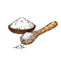 salt in wooden spoon sketch hand drawn vector