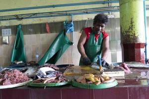 MALE, MALDIVES - FEBRUARY, 23 2019 - People buying at fish market photo