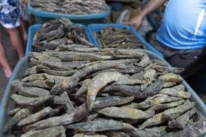 dried fish detail at Male india fish market photo