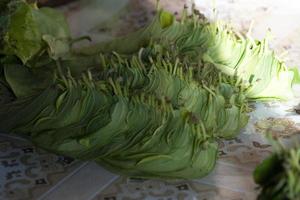 Betel seed made of cutted khat photo