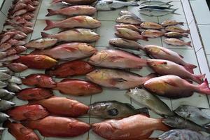 Male Maldives People buying at fish market photo