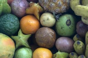many tropical fruit types at the market photo