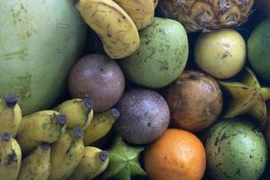 many tropical fruit types at the market photo