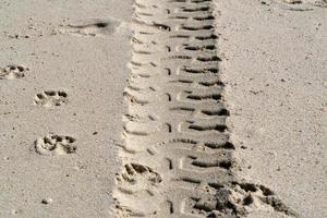 offroad tire track on sandy beach photo