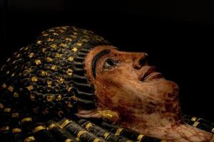 egyptian sarcophagus detail close up photo