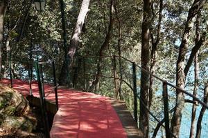 Red Carpet in portofino photo