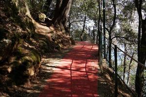 Red Carpet in portofino photo