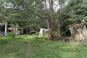 abandoned resort in the tropical jungle photo