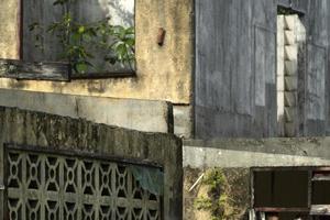 abandoned resort in the tropical jungle photo