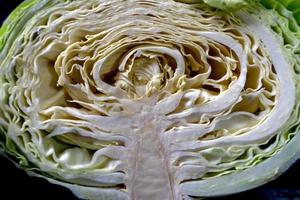 cutted cabbage detail photo