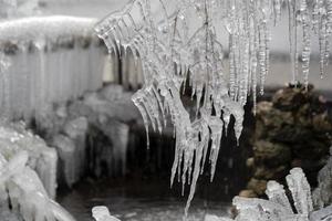 icicles frozen ice on tree branches photo