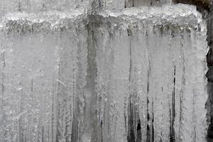 icicles frozen ice on tree branches photo