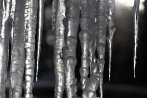 carámbanos hielo congelado en las ramas de los árboles foto