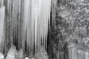 icicles frozen ice on tree branches photo