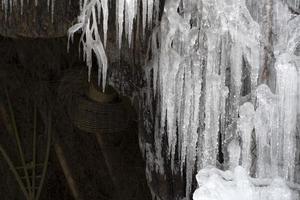 icicles frozen ice on tree branches photo