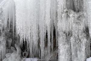 icicles frozen ice on tree branches photo