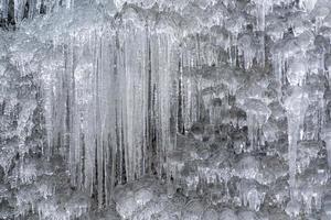 icicles frozen ice on tree branches photo