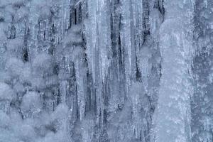 icicles frozen ice on tree branches photo