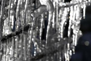 icicles frozen ice on tree branches photo