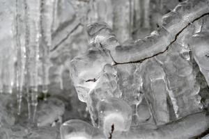 icicles frozen ice on tree branches photo