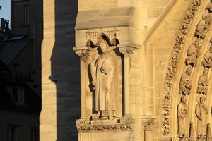 Notre dame Paris cathedral detail photo