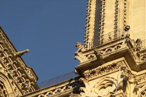 Detalle de la catedral de Notre Dame de París foto