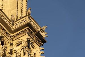 Notre dame Paris cathedral detail photo