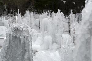 icicles frozen ice on tree branches photo