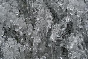 carámbanos hielo congelado en las ramas de los árboles foto