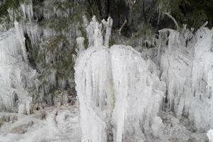 icicles frozen ice on tree branches photo