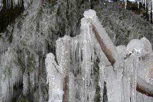 carámbanos hielo congelado en las ramas de los árboles foto