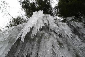 icicles frozen ice on tree branches photo